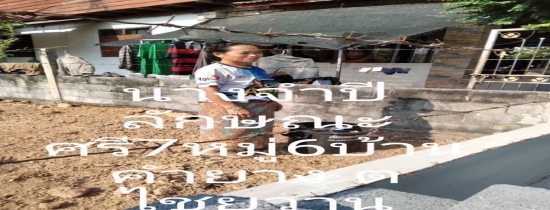 แบบรายงานการขับเคลื่อนแผนปฏิบัติการเชิงกลยุทธ์แนวใหม่ RE-X-RAY โครงการถังขยะเปียก ลดโลกร้อน พ.ศ.2569 เทศบาลตำบลหนองแวงแก้มหอมอำเภอไชยวานจังหวัดอุดรธานี